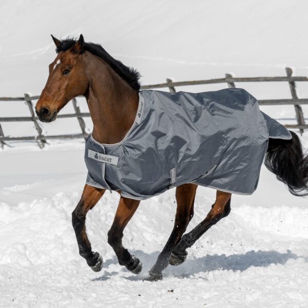 Smartex Turnout, bucas, výbehová deka pre kone, vodeodolná výbehová deka pre kone, waterproof & breathable rug for horses, výbehová deka pre kone do dažďa, deka pre kone do dažďa priedušná výbehová deka pre kone, výbehová deka s hodvábnou podšívkou pre kone, silk-feel rug, magnetic Snap-lock, kvalitná výbehová deka pre kone, pohodlná výbehová deka pre kone, univerzálna výbehová deka pre kone