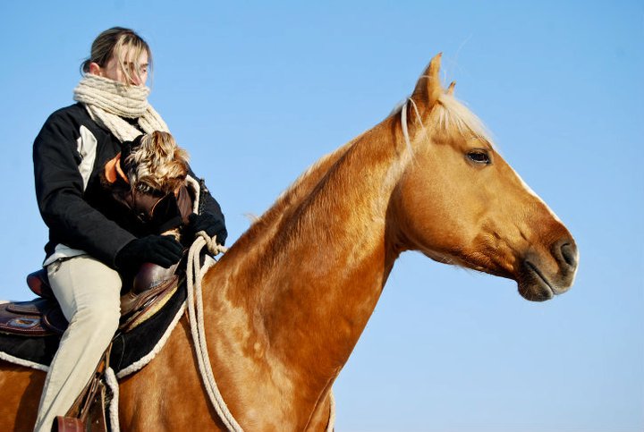 kôň, kone, jazdenie, tréning koní, intuitívne jazdenie, vedomé jazdenie, jazdenie na nákrčáku, jazdenie s citom, život s koňmi, súhra s koňom, práca s koňom